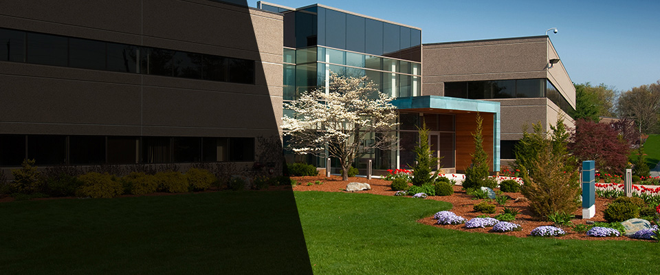 Lucama Landscapers