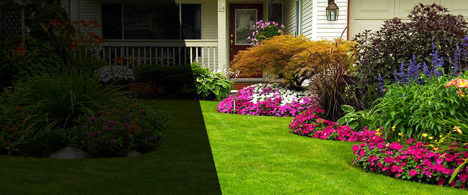 Lucama Landscapers