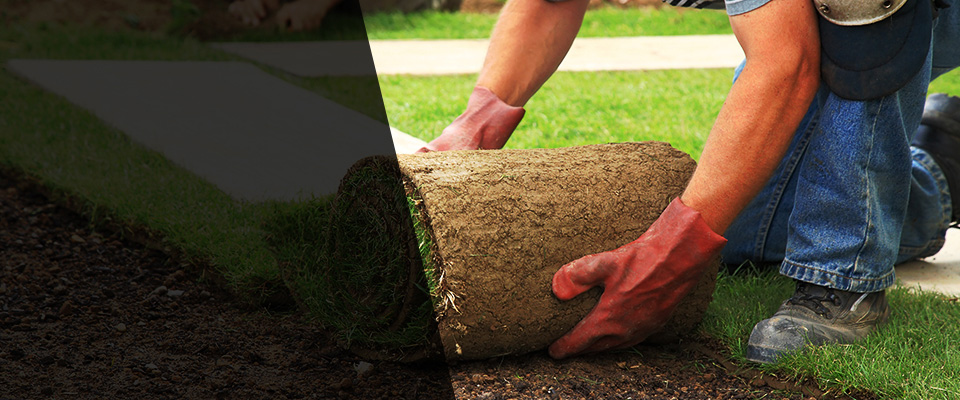 Lucama Landscapers